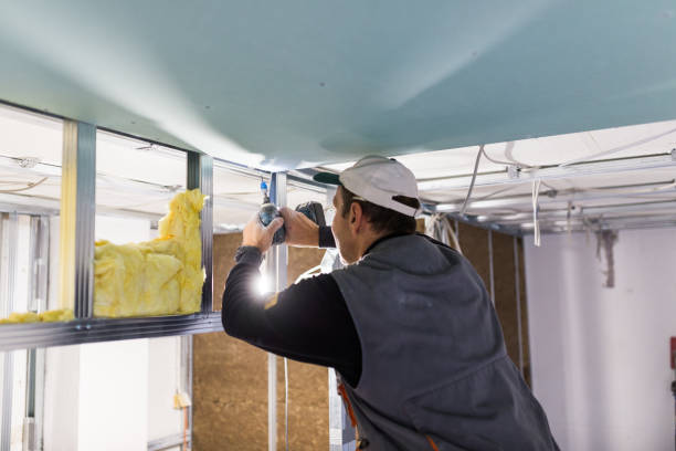 Best Garage Insulation Installation  in Howe, TX
