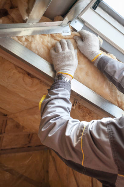 Best Insulation Replacement Services  in Howe, TX