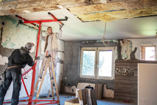 Best Attic Insulation Installation  in Howe, TX