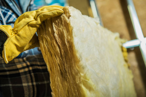 Best Attic Insulation Installation  in Howe, TX