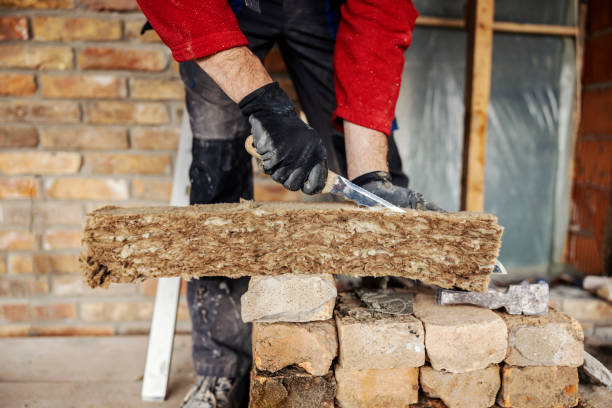 Best Insulation Removal  in Howe, TX