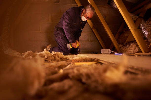 Best Garage Insulation Installation  in Howe, TX