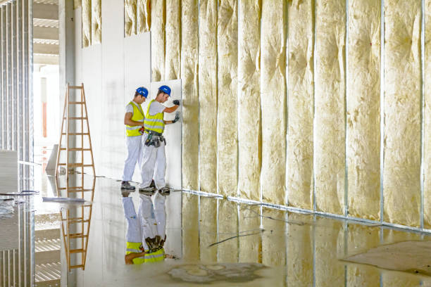 Best Insulation Removal  in Howe, TX